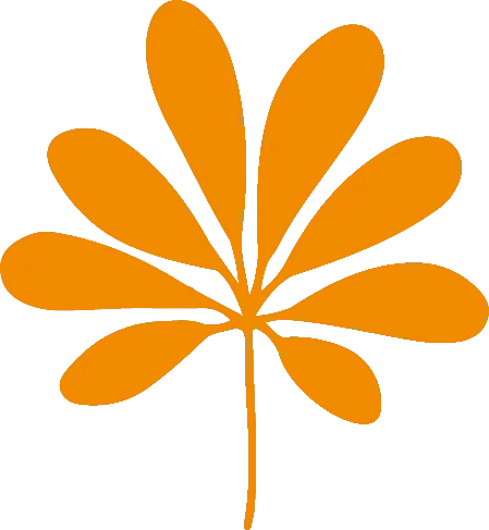 L1