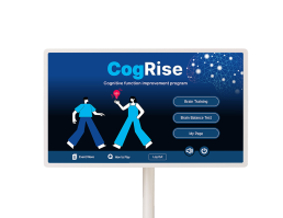 CogVision