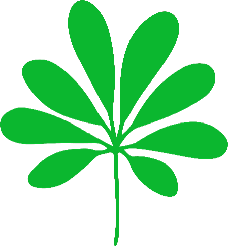 L3